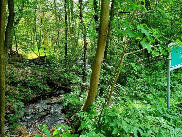 Bärenbach in Schloß Holte-Stukenbrock Bärenbach in Schloß Holte-Stukenbrock