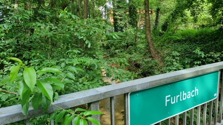 Furlbach in der Eselheide in Schloß Holte-Stukenbrock
