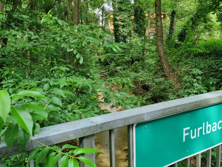 Furlbach in der Eselheide in Schloß Holte-Stukenbrock
