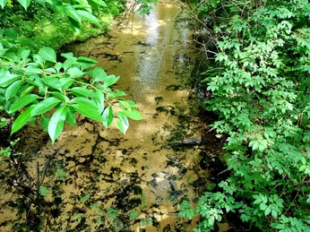 Furlbach in der Eselheide in Schloß Holte-Stukenbrock