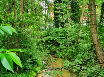 Furlbach in Schloß Holte-Stukenbrock