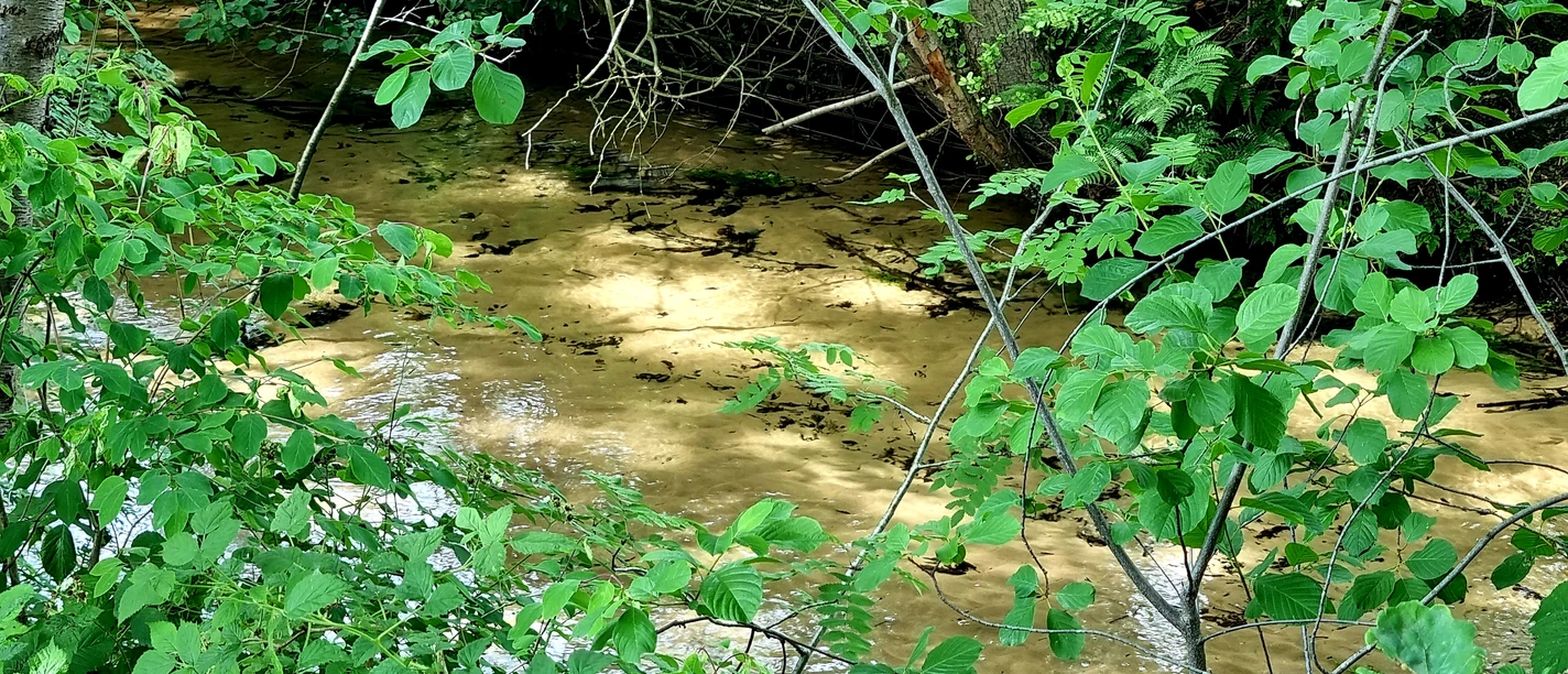 Furlbach in Schloß Holte-Stukenbrock Furlbach in Schloß Holte-Stukenbrock