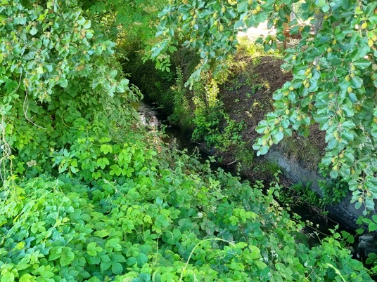 Landerbach in Schloß Holte-Stukenbrock