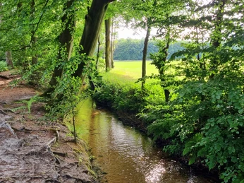 Landerbach in Schloß Holte-Stukenbrock Landerbach in Schloß Holte-Stukenbrock