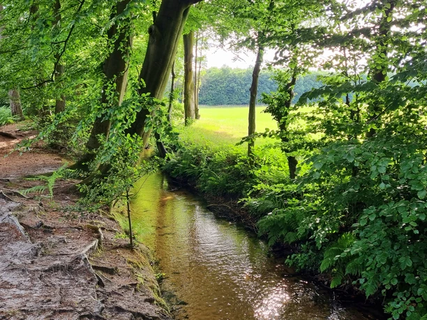 Landerbach in Schloß Holte-Stukenbrock Landerbach in Schloß Holte-Stukenbrock