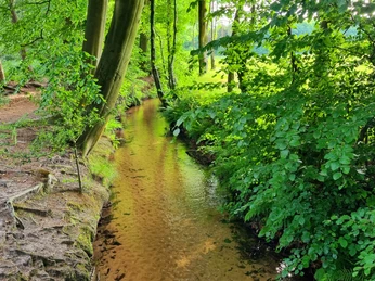 Landerbach in Schloß Holte-Stukenbrock Landerbach in Schloß Holte-Stukenbrock