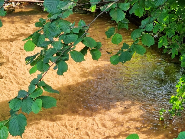 Menkebach im Ortsteil Sende in Schloß Holte-Stukenbrock Menkebach im Ortsteil Sende in Schloß Holte-Stukenbrock