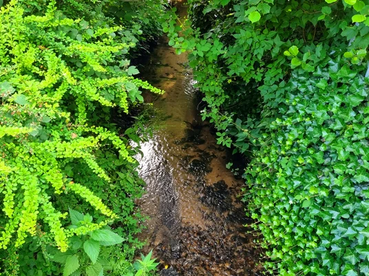 Menkebach im Ortsteil Sende in Schloß Holte-Stukenbrock