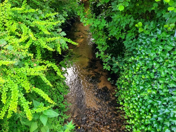 Menkebach im Ortsteil Sende in Schloß Holte-Stukenbrock