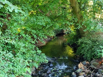Ölbach in Schloß Holte-Stukenbrock Ölbach in Schloß Holte-Stukenbrock