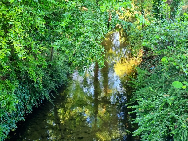 Ölbach in Schloß Holte-Stukenbrock