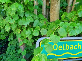 Ölbach in Schloß Holte-Stukenbrock