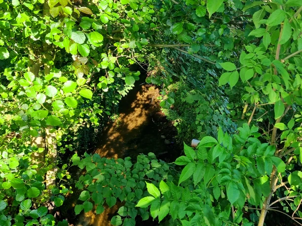 Ölbach in Schloß Holte-Stukenbrock