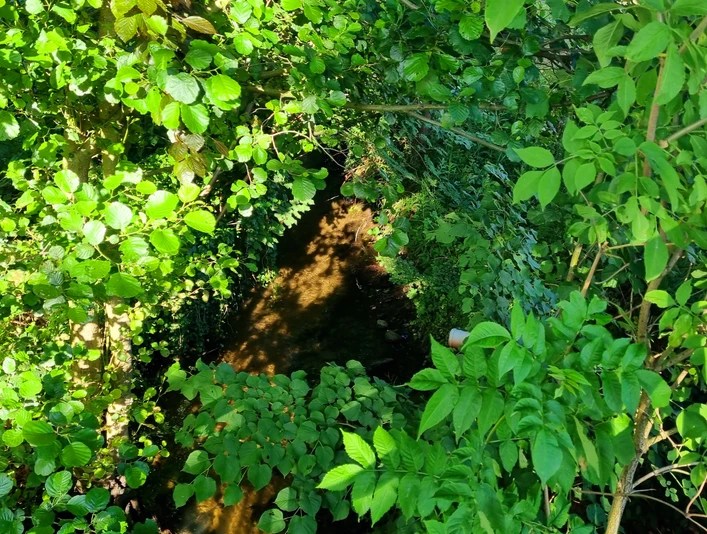 Ölbach in Schloß Holte-Stukenbrock