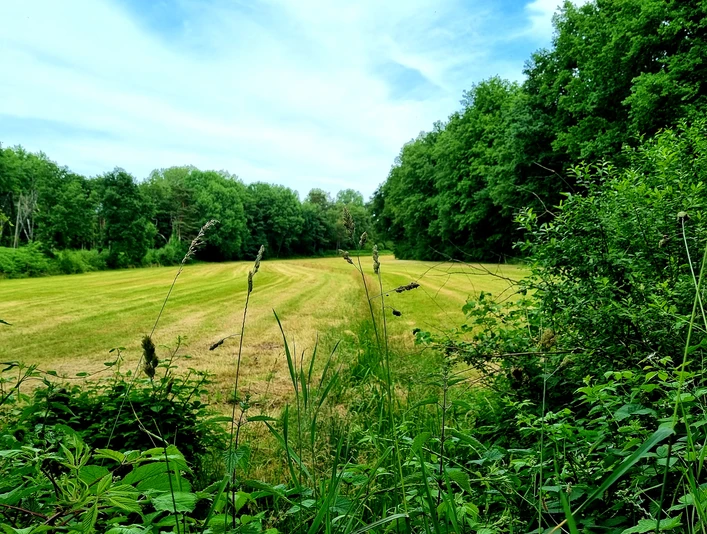 Rahmkebach in Schloß Holte-Stukenbrock