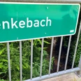 Menkebach im Ortsteil Sende in Schloß Holte-Stukenbrock