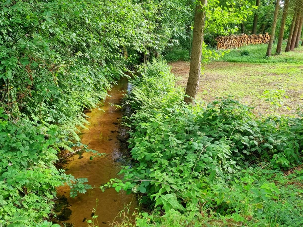 Rodenbach im Ortsteil Liemke in Schloß Holte-Stukenbrock