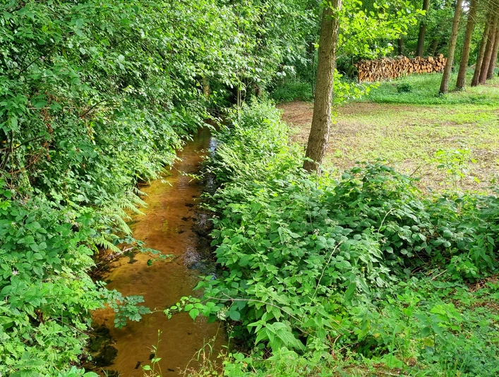 Rodenbach im Ortsteil Liemke in Schloß Holte-Stukenbrock