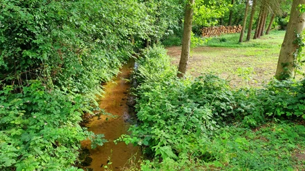 Rodenbach im Ortsteil Liemke in Schloß Holte-Stukenbrock Rodenbach im Ortsteil Liemke in Schloß Holte-Stukenbrock