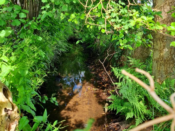 Sennebach im Ortsteil Liemke in Schloß Holte-Stukenbrock