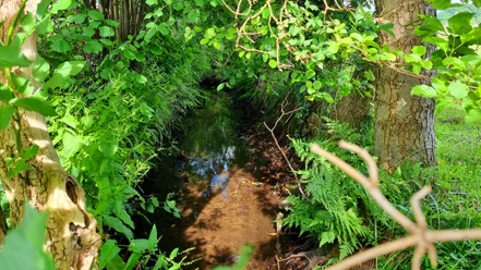 Sennebach im Ortsteil Liemke in Schloß Holte-Stukenbrock Sennebach im Ortsteil Liemke in Schloß Holte-Stukenbrock