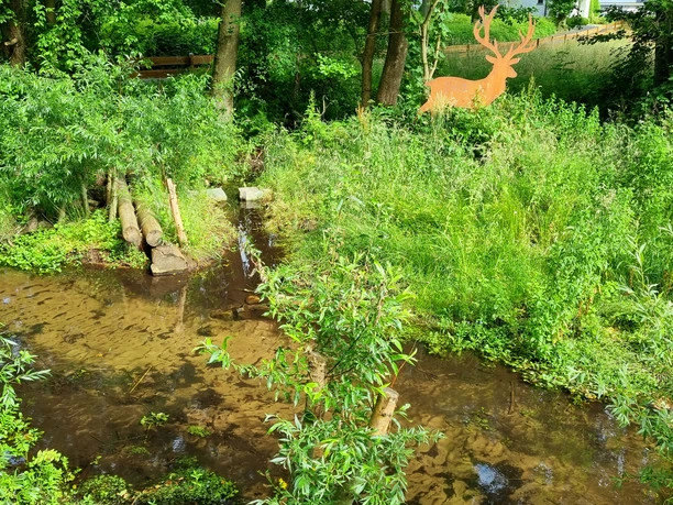 Wapelbach im Ortsteil Liemke in Schloß Holte-Stukenbrock Wapelbach im Ortsteil Liemke in Schloß Holte-Stukenbrock