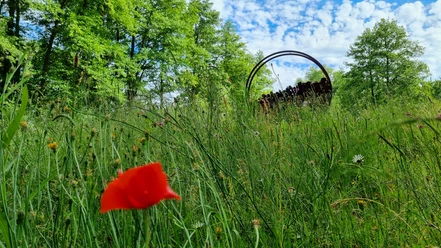 Wapelbach im Ortsteil Liemke in Schloß Holte-Stukenbrock Wapelbach im Ortsteil Liemke in Schloß Holte-Stukenbrock
