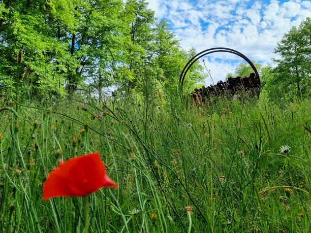 Wapelbach im Ortsteil Liemke in Schloß Holte-Stukenbrock Wapelbach im Ortsteil Liemke in Schloß Holte-Stukenbrock