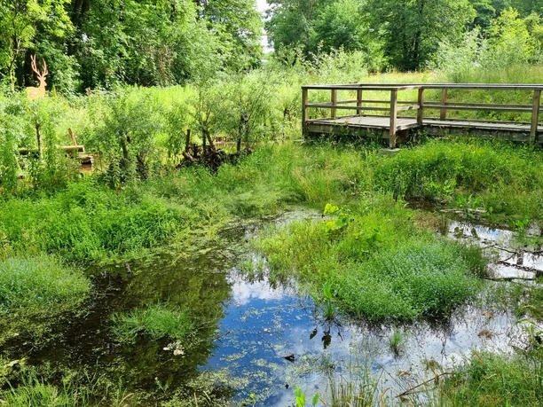 Wapelbach im Ortsteil Liemke in Schloß Holte-Stukenbrock Wapelbach im Ortsteil Liemke in Schloß Holte-Stukenbrock