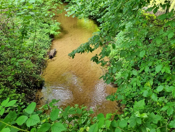Wapelbach im Ortsteil Liemke in Schloß Holte-Stukenbrock Wapelbach im Ortsteil Liemke in Schloß Holte-Stukenbrock