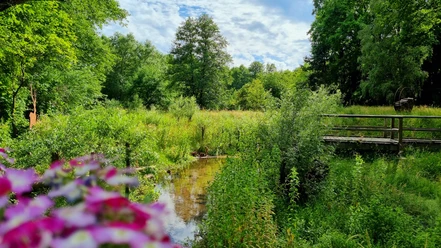 Wapelbach im Ortsteil Liemke in Schloß Holte-Stukenbrock
