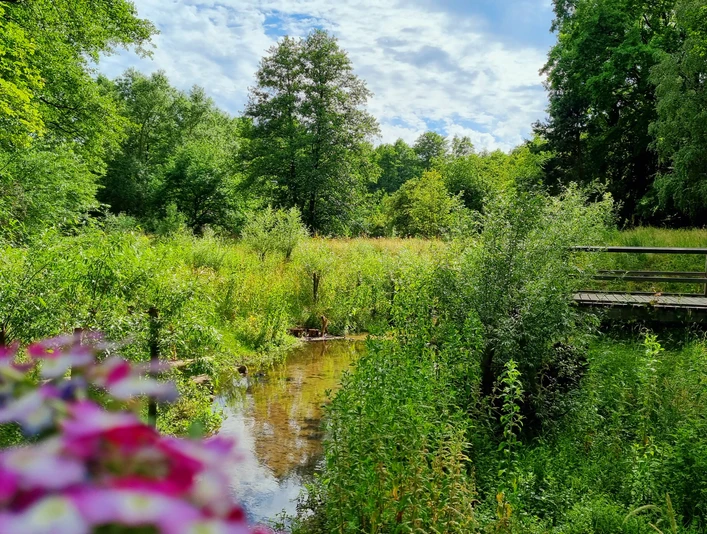 Wapelbach im Ortsteil Liemke in Schloß Holte-Stukenbrock