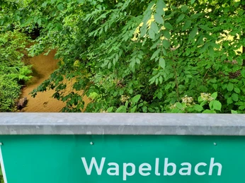 Wapelbach im Ortsteil Liemke in Schloß Holte-Stukenbrock