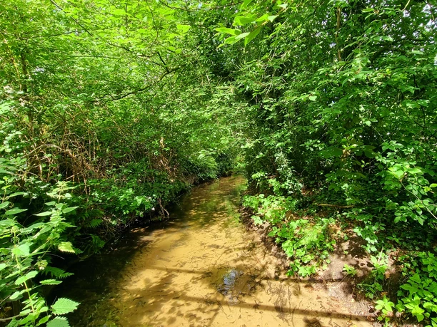 Wapelbach im Ortsteil Liemke in Schloß Holte-Stukenbrock Wapelbach im Ortsteil Liemke in Schloß Holte-Stukenbrock