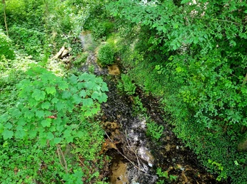 Westerholter Bach im Ortsteil Stukenbrock in Schloß Holte-Stukenbrock Westerholter Bach im Ortsteil Stukenbrock in Schloß Holte-Stukenbrock