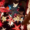 Bunte Deko-Sterne Farbenfrohe, leuchtende Sterne auf einem Weihnachtsmarkt im Kölner Stadtgarten.Colorful, shining stars at a Christmas market in Cologne's Stadtgarten.