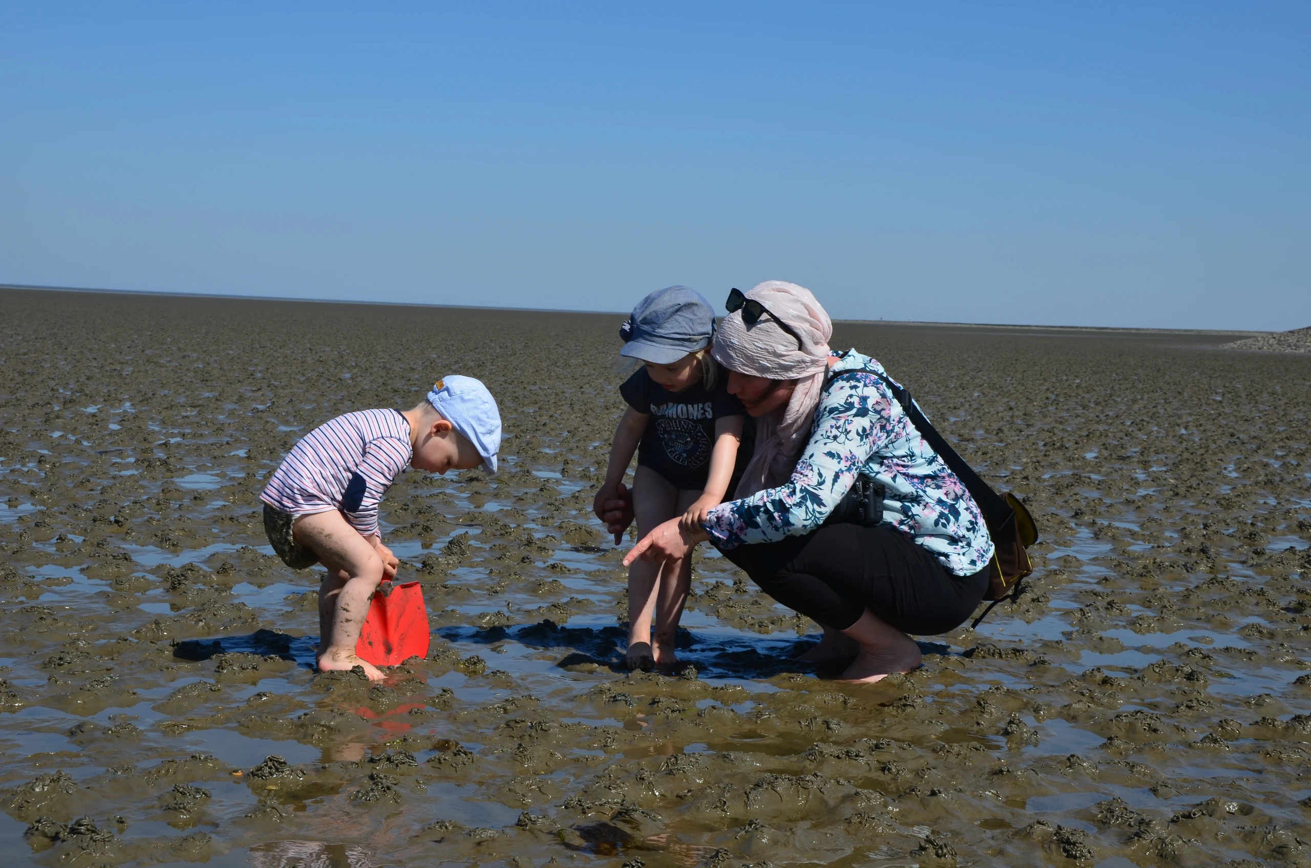 Watt für Luette.jpg