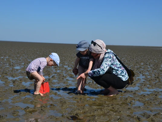 Watt für Luette.jpg