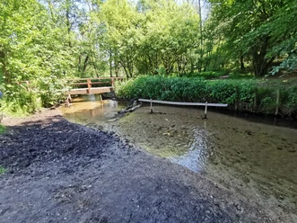 Gieselautal