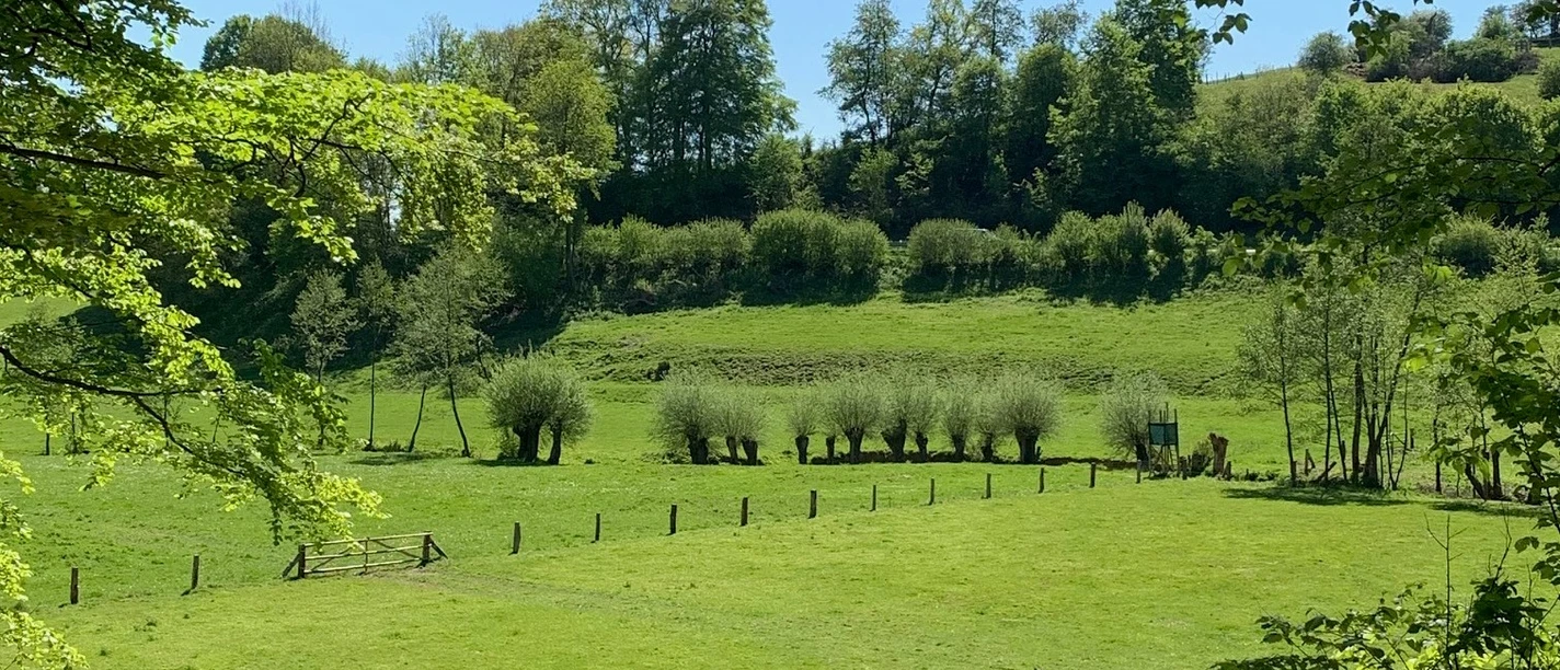 Grüne Flösswiesen im Bruchtetal mit sanften Hügeln und Bäumen unter einem klaren blauen Himmel.