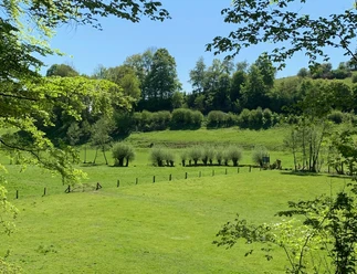 Flösswiesen im Bruchtetal Grüne Flösswiesen im Bruchtetal mit sanften Hügeln und Bäumen unter einem klaren blauen Himmel.