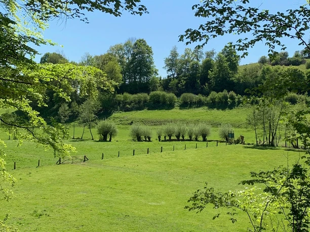 Flösswiesen im Bruchtetal Grüne Flösswiesen im Bruchtetal mit sanften Hügeln und Bäumen unter einem klaren blauen Himmel.