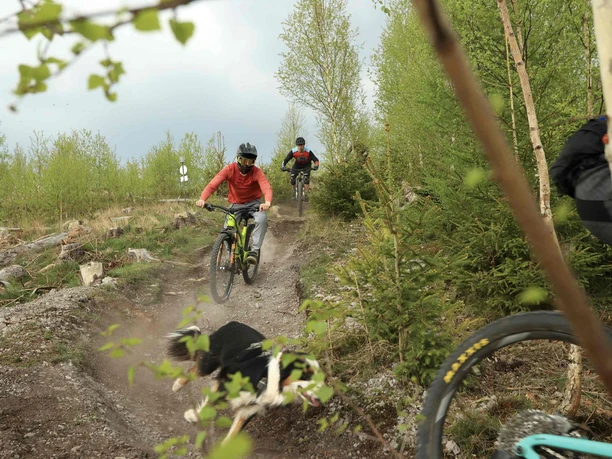Trailpark Harz in Ilsenburg