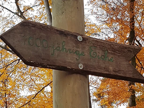 Hinweisschild zur 1000-jährigen Eiche in Schloß Holte-Stukenbrock Hinweisschild zur 1000-jährigen Eiche in Schloß Holte-Stukenbrock