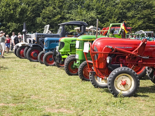 Auf Achse Reihe bunter Oldtimer-Traktoren auf grüner Wiese, umgeben von Menschen, Bäume im Hintergrund.