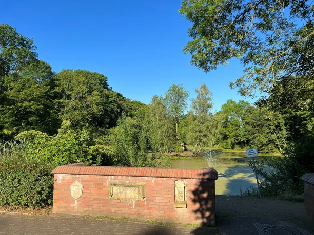 Mühlenteich Ein friedvoller Teich, umgeben von dichter Vegetation und sonnigem, klarem Himmel im Hintergrund.