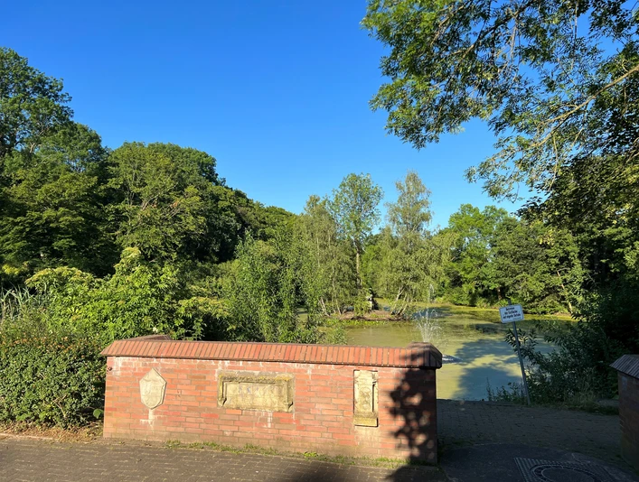 Mühlenteich Ein friedvoller Teich, umgeben von dichter Vegetation und sonnigem, klarem Himmel im Hintergrund.
