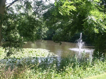 Ein idyllischer Teich mit Seerosen, von Bäumen umrahmt. Ein Wasserfontäne verleiht Dynamik.