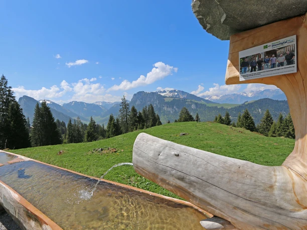 Schwinger Brunnen Schwingerbrunnen am Schwingerweg, Bergpanorama im Hintergrund