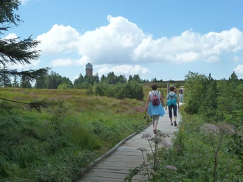 Auf dem Grindenpfad copyright Tourist-Info. Seebach